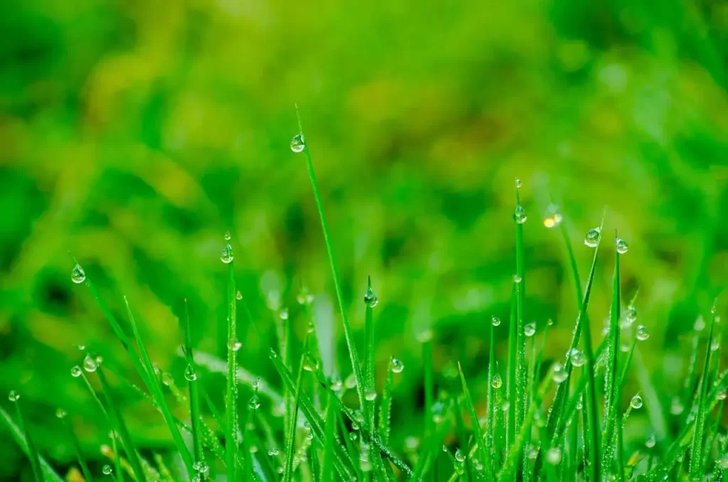 Origen de Hilos de Agua